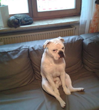 Olaf11