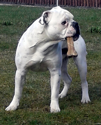 Olaf12